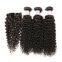 Kinky Straight Malaysian Brazilian Tangle Free Wholesale Price  Clip In Hair Extension 18 Inches