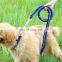Eight Strand Round Rope Dog Walking Leads Large-Strong Dog Leashes and  Collar Sets