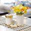Nordic Light Luxury Moden White Blue Black Gold Storage Jar For Dining Room Decor