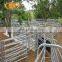 2020 new design hot dip galvanized used horse fence panels