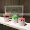 wholesale mini home decoration plastic fake desk pot artificial succulent plants