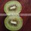 Sinocharm BRC A Approved 10x10mm IQF Green Kiwi Dice Manufacturers New Crop High Quality Frozen Kiwi Dice