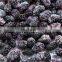 Healthy taste good frozen mulberry freeze mulberry