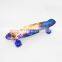 Factory Cheap Custom Longboard Wide 4 Wheel Skateboard For Adult Skate Board