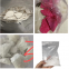 Factory Price CAS 13965-63-4 organic powder in stock whatsapp+8616799746565