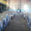 Galvanized Steel Coil g90 Zinc Coated Hot Dipped Galvanized Steel Strip Coil