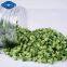 Factory's new crop freeze dried green bell pepper