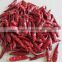 Organic Dry Dried Red Hot Chaotian TianYing Dry Red Chili Chiles pepper Capsicum annuum                        
                                                Quality Choice