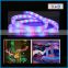 5M 300LEDs 24V 12V LED Neon Flex Digital Programmable led neon flex warm white