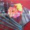 5mm tempered glass/toughened glass/safety glass