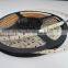 RGB color 12v 120led/meter 3528 600 flexible led strip light made in shenzhen