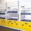 lab equipment wholesale chemical fume hood price