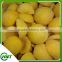 Market Price For Frozen Yellow Peach