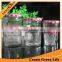 BONNE MAMAN 1oz Jam Jars With Red Gingham Style Lids