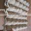 Paper Egg Trays In Cheap Wholesale (Trade Assurance)