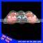 QS certificate luxurious dry apple fruit trays