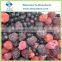 IQF Mixed Berries Products In Frozen Fruits