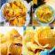 CE Industrial Automatic Tortilla Doritos Chips Making Machine