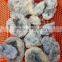 Natural Rock Crystal Geodes Blue Calcite Stone Geodes