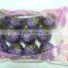 Environmental protection washing machine cleaning ball washing ball