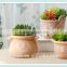 terracotta garden flower pot kitchen design rustic planter