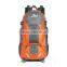 Hot Sale Tear Resistance Large Backpack