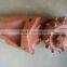 oil rig drill bit / drilling equipment / oil palm cutter / roller palm bits