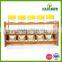 Kitchen glass spice set with rack wholesale