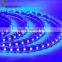 Blue LED SMD Flexible LED Strip Light