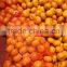 Chinese Fresh Orange