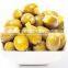 Stuffed Green Olives with Lemon. Top Quality 100% Tunisian Olives.Stuffed Olives with Lemon, Table Olives. 370 ml Glass Jar
