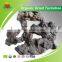 Best Seller of Organic Dried Tuckahoe