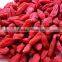 New Harvest Top Quality Bacche Di Goji