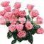 High Quality Fresh Cut Flowers/ Red Roses For Wedding