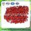 China good quality certified goji berries
