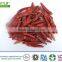 crushed red chili