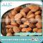Organic Sweet Apricot Kernels For Different Kind Of Specifications 600/700/750/900 pcs/500g.