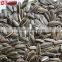 High quality Dried sunflower seeds for sale