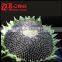 Chinese Confectionary Sunflower Seeds Wholesale Price