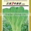 Top quality Asparagus Lettuce seeds Leaf lettuce