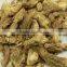 Best Supplier's Of 100 % Angelica Root Oil