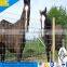 Tie Steel Hog Wire Fence Hot Sale