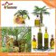 Best price palm oil processing machine palm oil extraction machine palm oil making machine