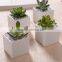 Indoor 2 inch small rectangular white ceramic planters for succulents