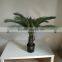 decorative sago cycas cycas revoluta artificial high simulation cycads plant
