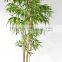 Office decorative green plants