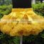 New Baby Girl Tutu Skirt Chiffon Lace Princess Latin Dance Party Pettiskirt Ruffles Kids Bow Floral Silk Ballet Saias Skirts
