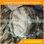 China Manufacturer Animal Pattern 50 x 60 Fleece Blanket