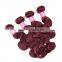 Wholesale 3 Bundles Red Colored Brazilian Hair Weave Fast Shipping