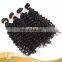 Fast Delivery Top Quality 100% Unprocessed Brazilian Deep Wave Human Hair Extension